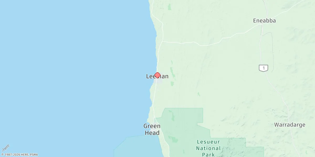 Map preview for Leeman