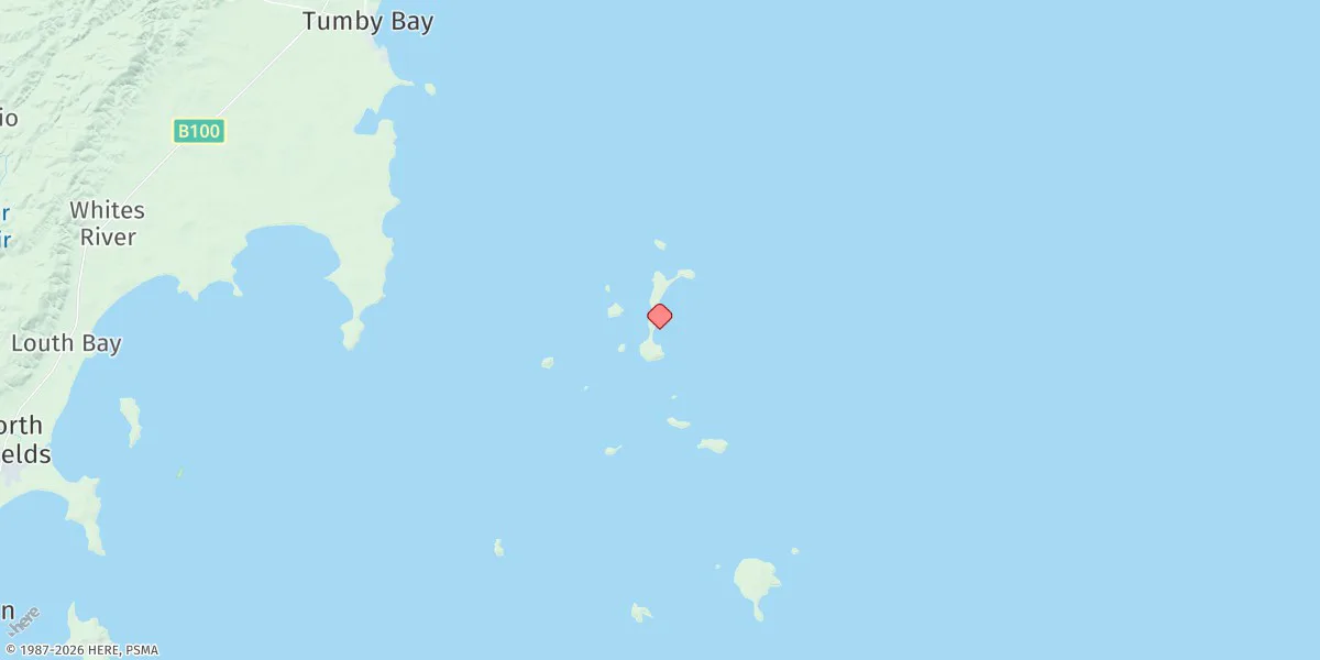 Map preview for Reevesby Island