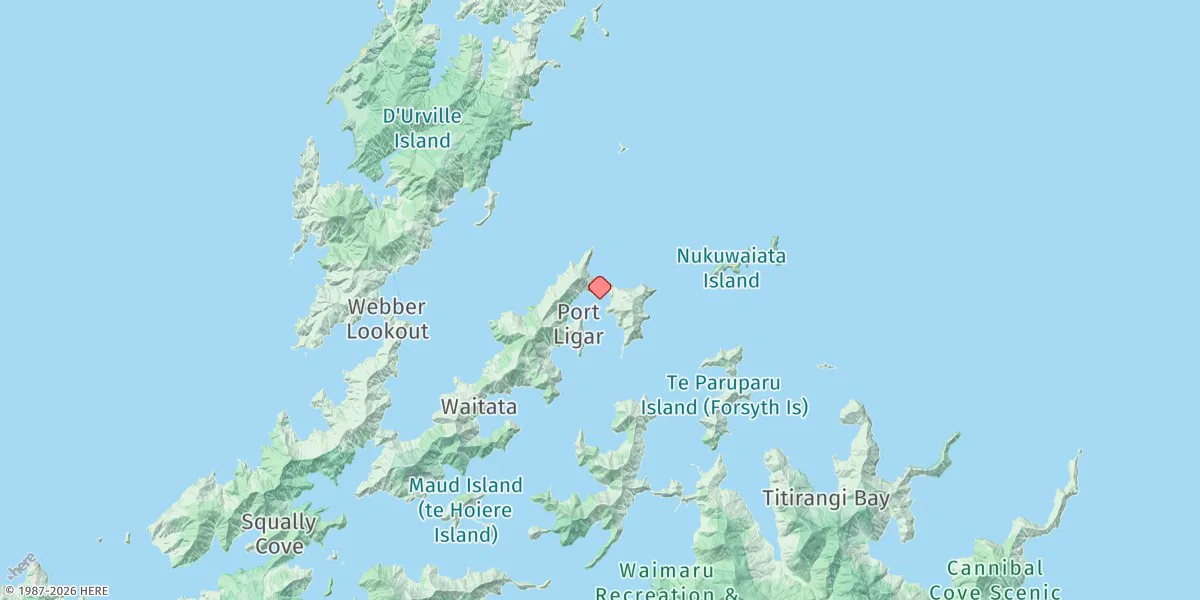 Map preview for Pelorus Sound Entrance