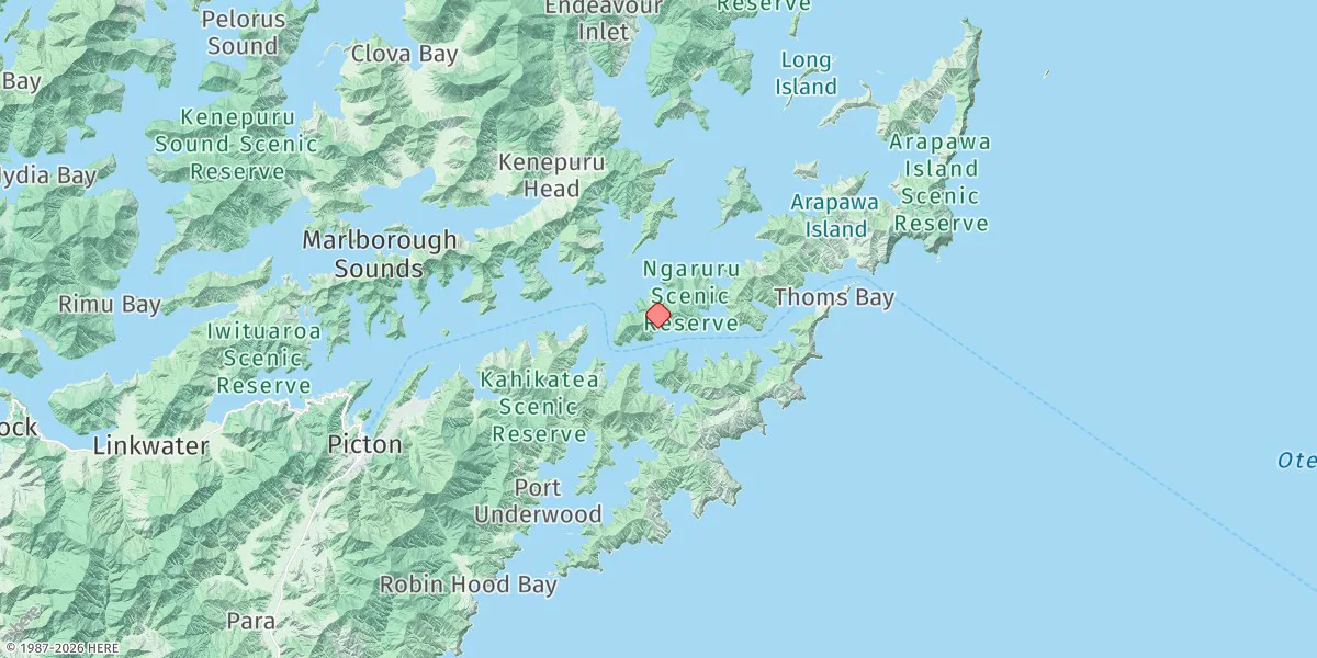 Map preview for Te Iro Bay