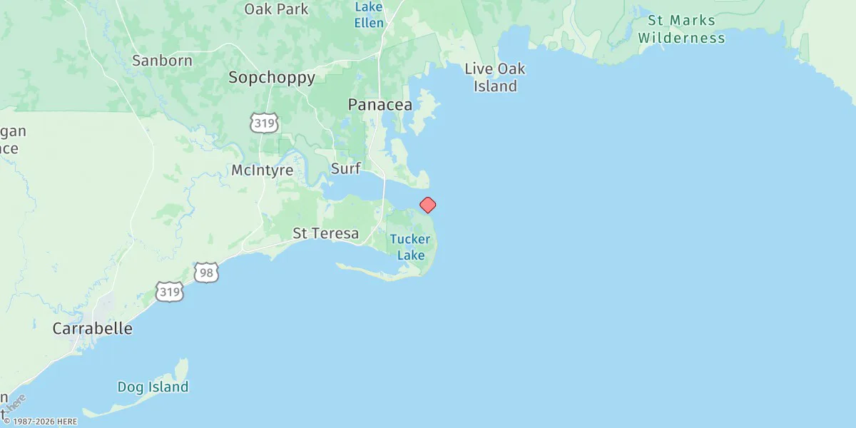 Map preview for Bald Point, Ochlockonee Bay