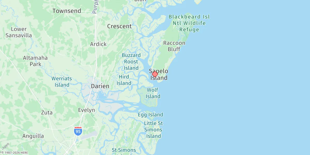 Map preview for Old Tower, Sapelo Island