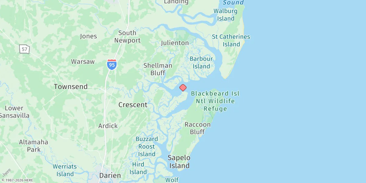 Map preview for Dog Hammock, Sapelo River
