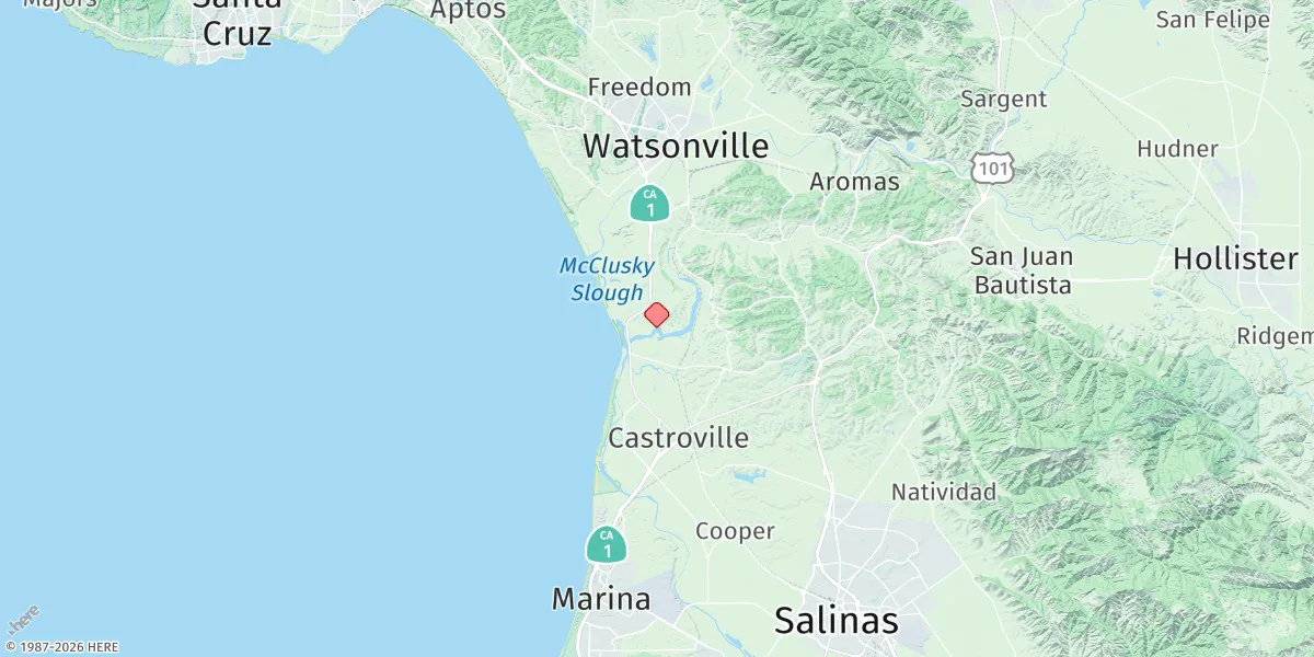 Map preview for Pacific Mariculture Dock, Elkhorn Slough, Monterey Bay, California (Sub)