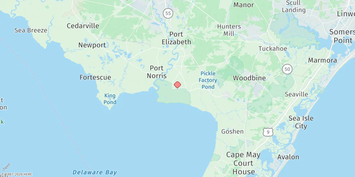 Map preview for Riggins Ditch, Heislerville