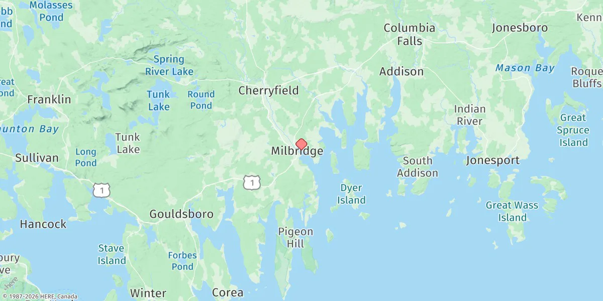 Map preview for Millbridge, Narraguagus River, Maine