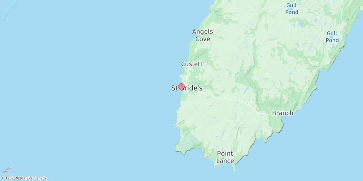 Map preview for St. Bride's