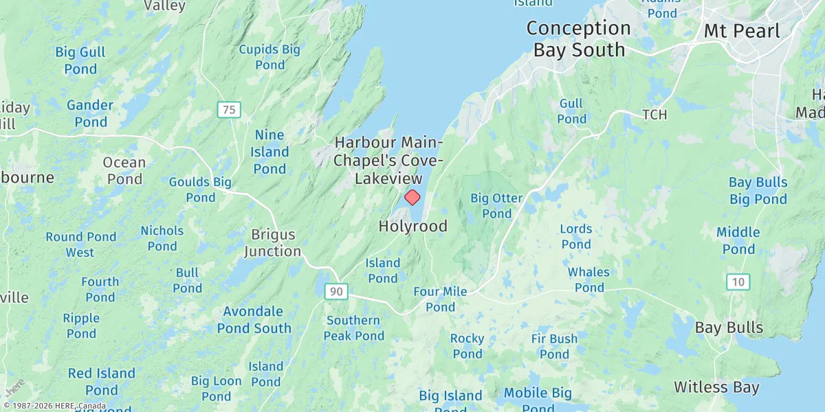 Map preview for Holyrood Bay