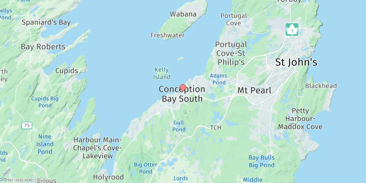 Map preview for Long Pond