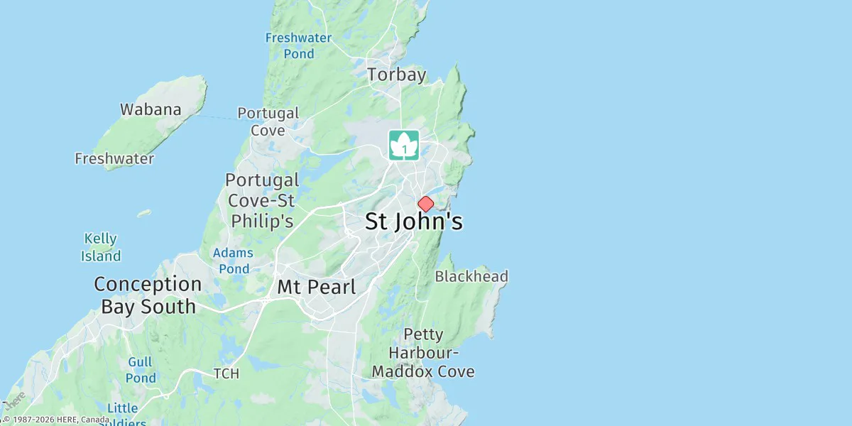 Map preview for St. John's Harbour