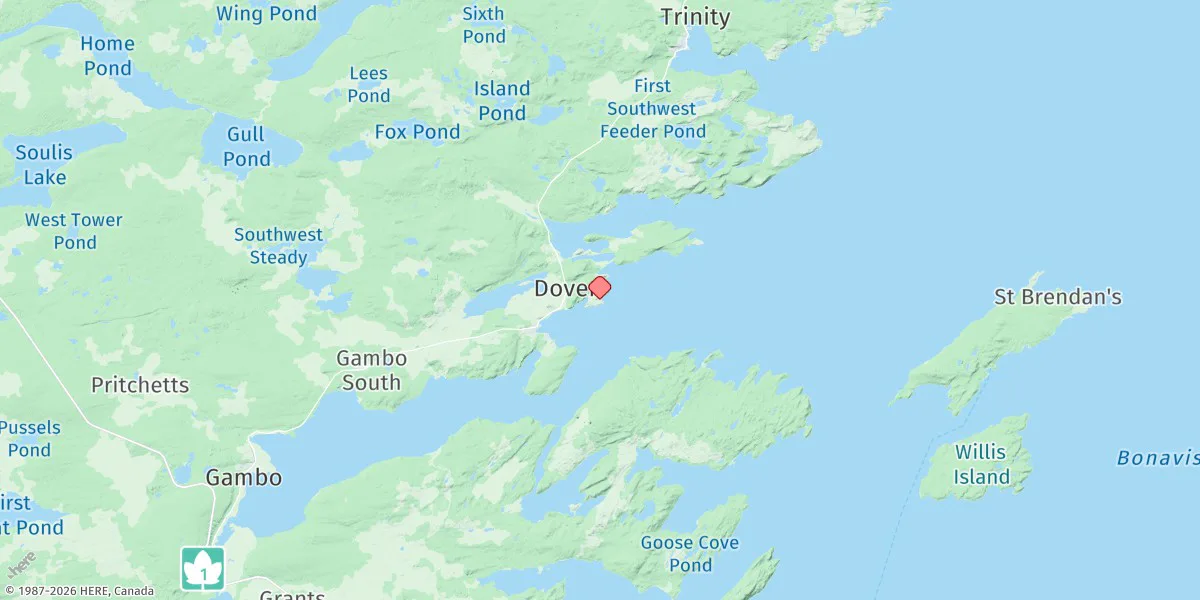 Map preview for Dover - Wellington