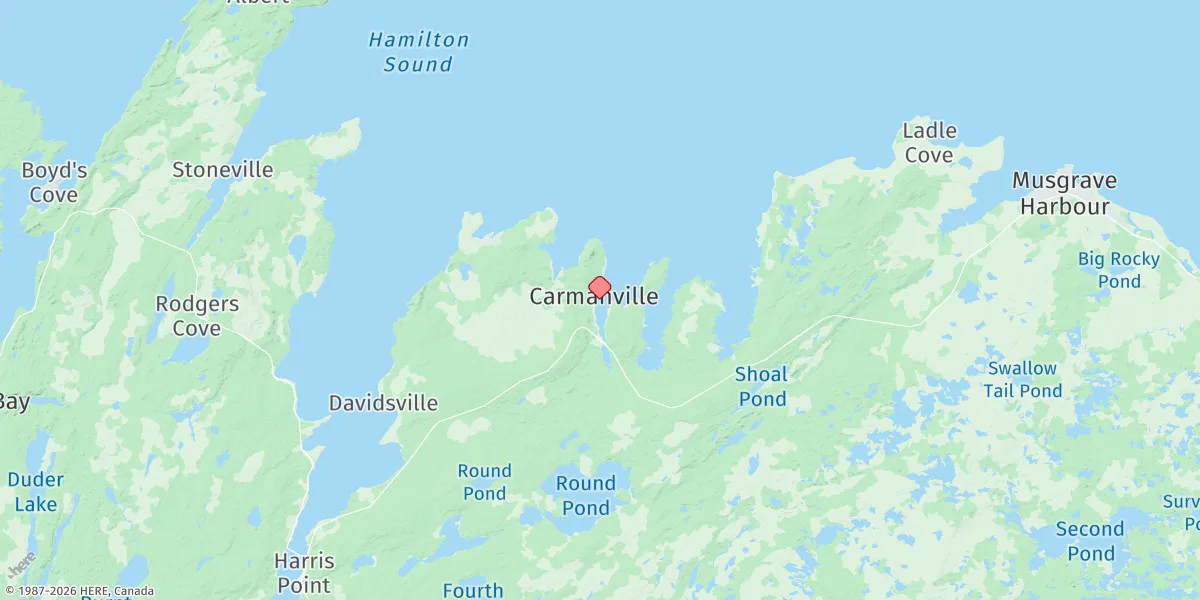 Map preview for Carmanville