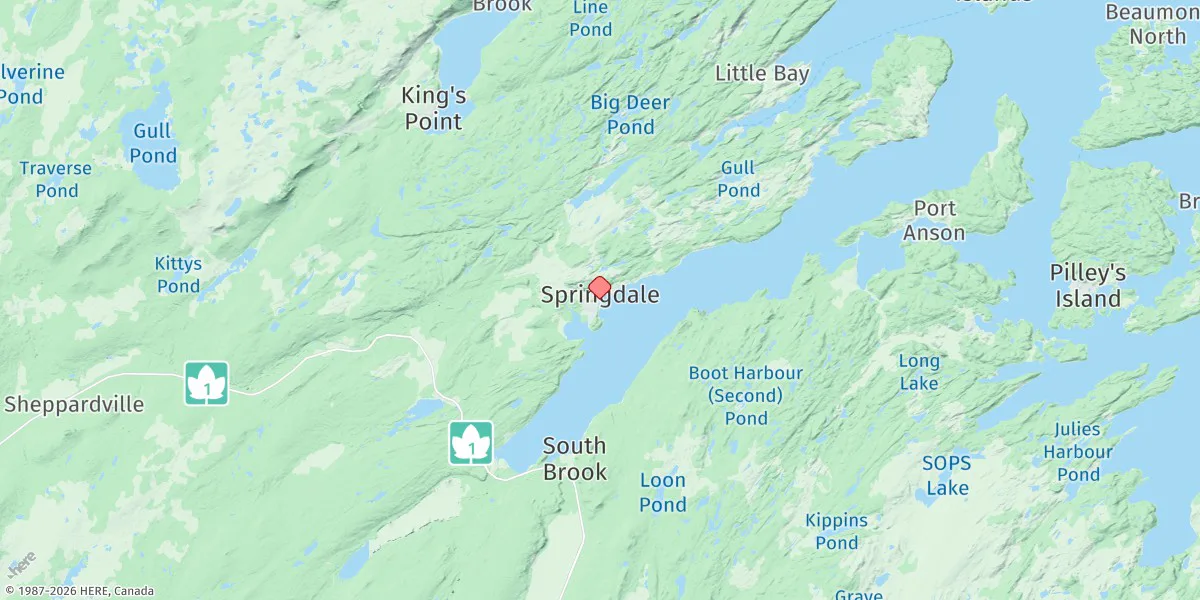 Map preview for Springdale