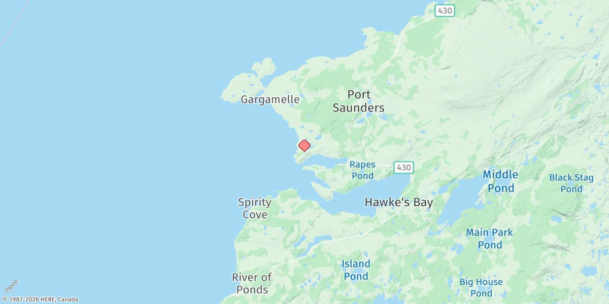 Map preview for Port Saunders