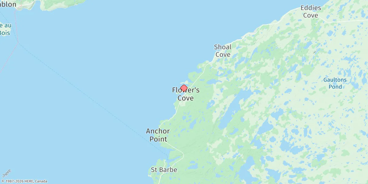Map preview for Flowers Cove