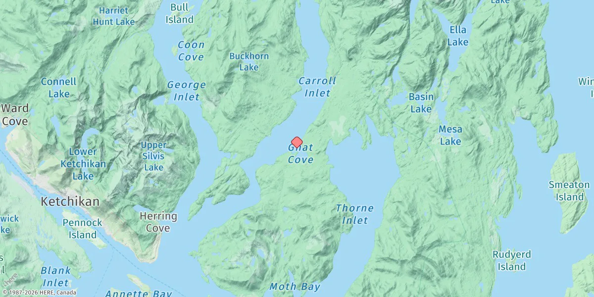 Map preview for Gnat Cove, Carroll Inlet, Revillagigedo Channel, Alaska