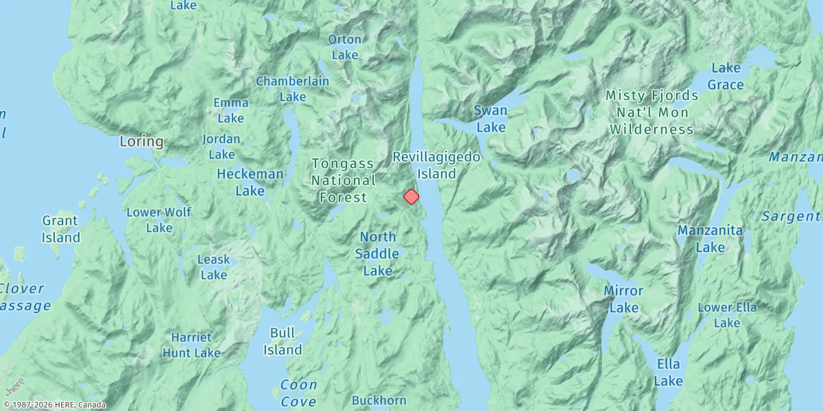 Map preview for Nigelius Point, Carroll Inlet, Revillagigedo Channel, Alaska