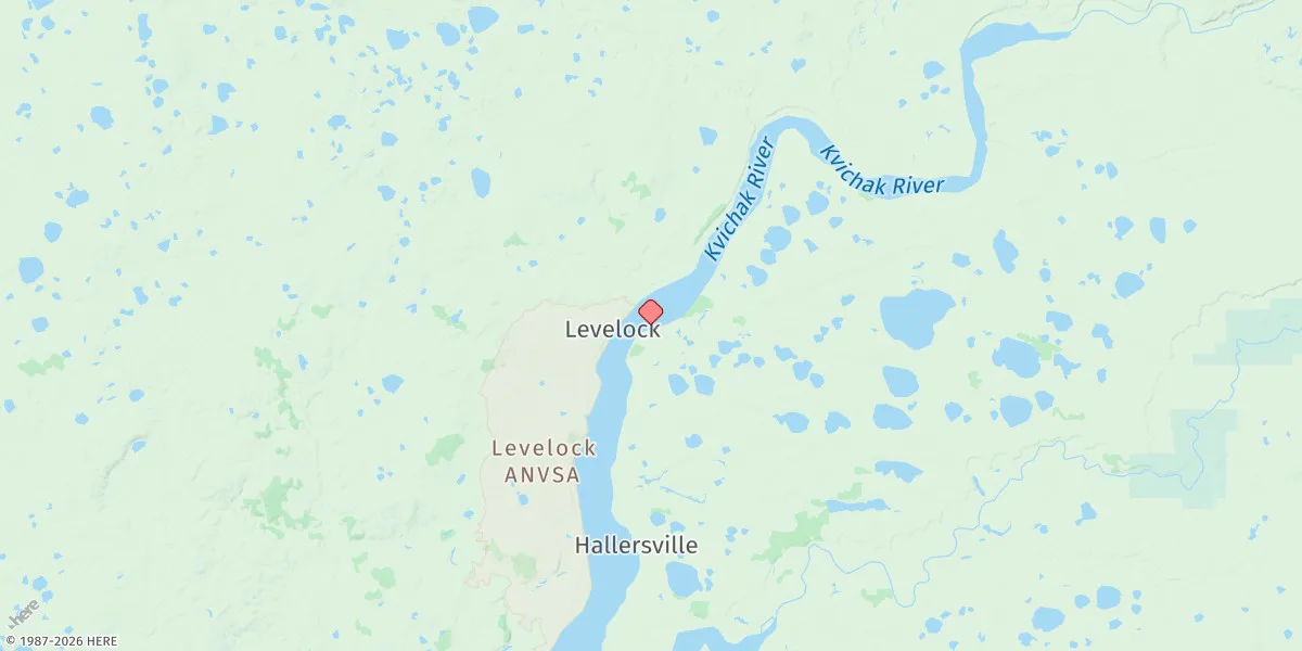 Map preview for Levelock
