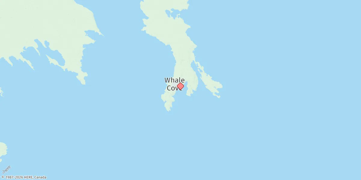 Map preview for Whale Cove