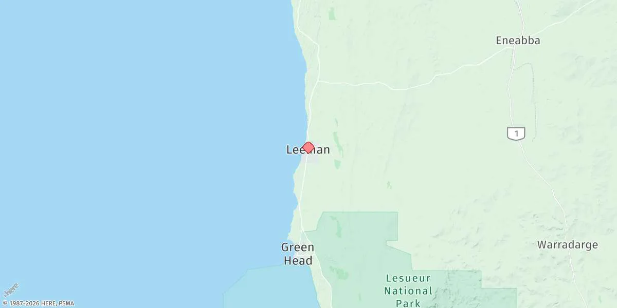 Map preview for Leeman