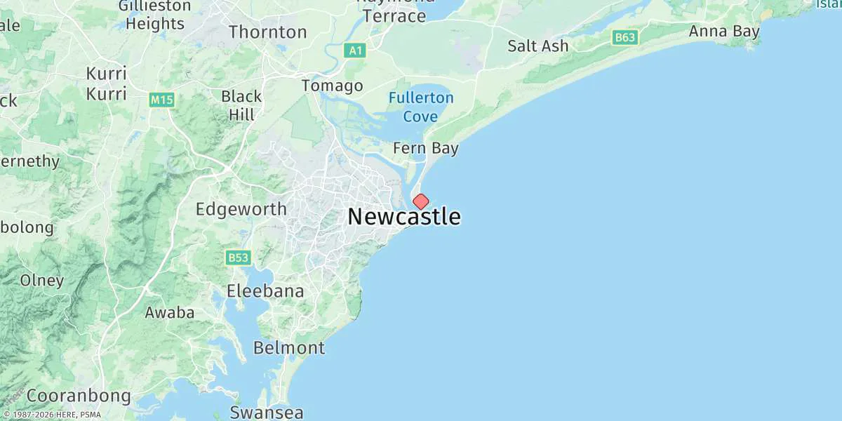 Map preview for Newcastle