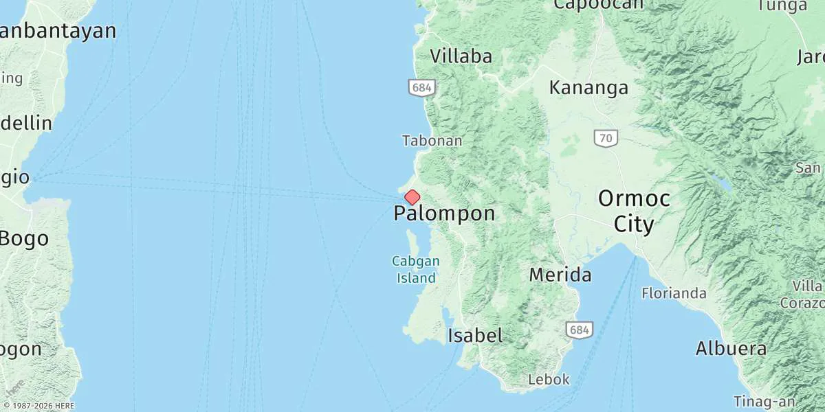 Map preview for Palompon