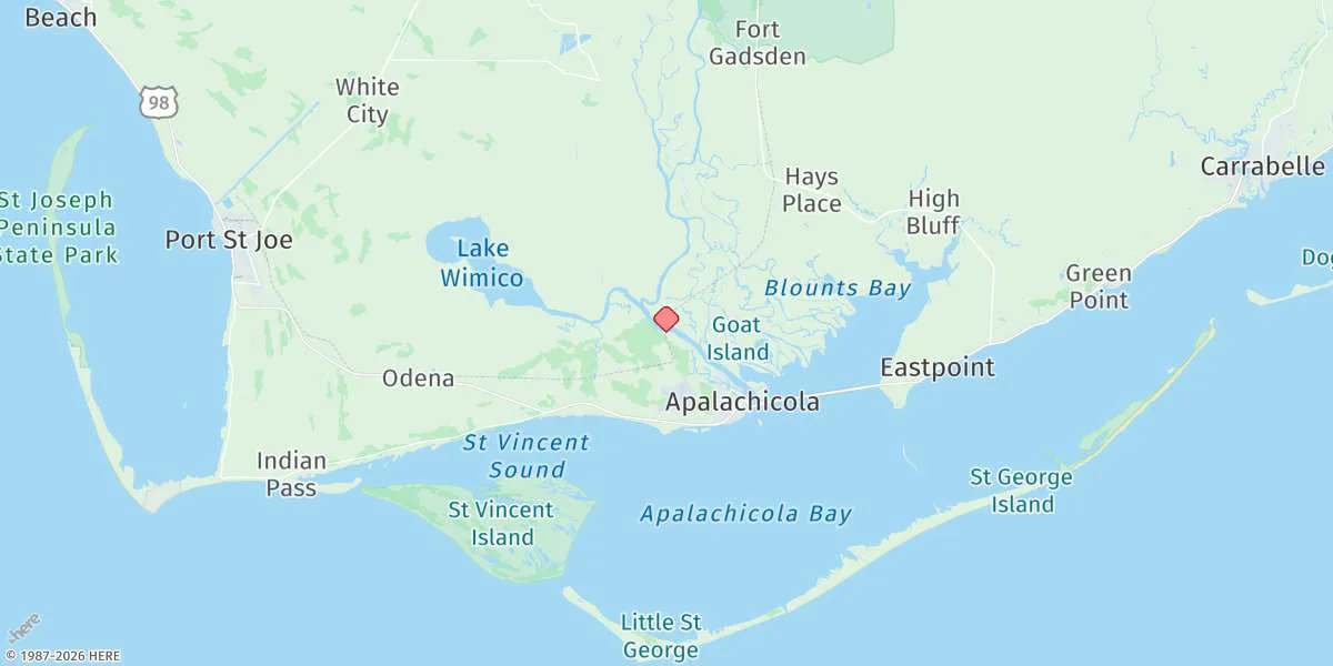 Map preview for Apalachicola River (A&n Rr Bridge)
