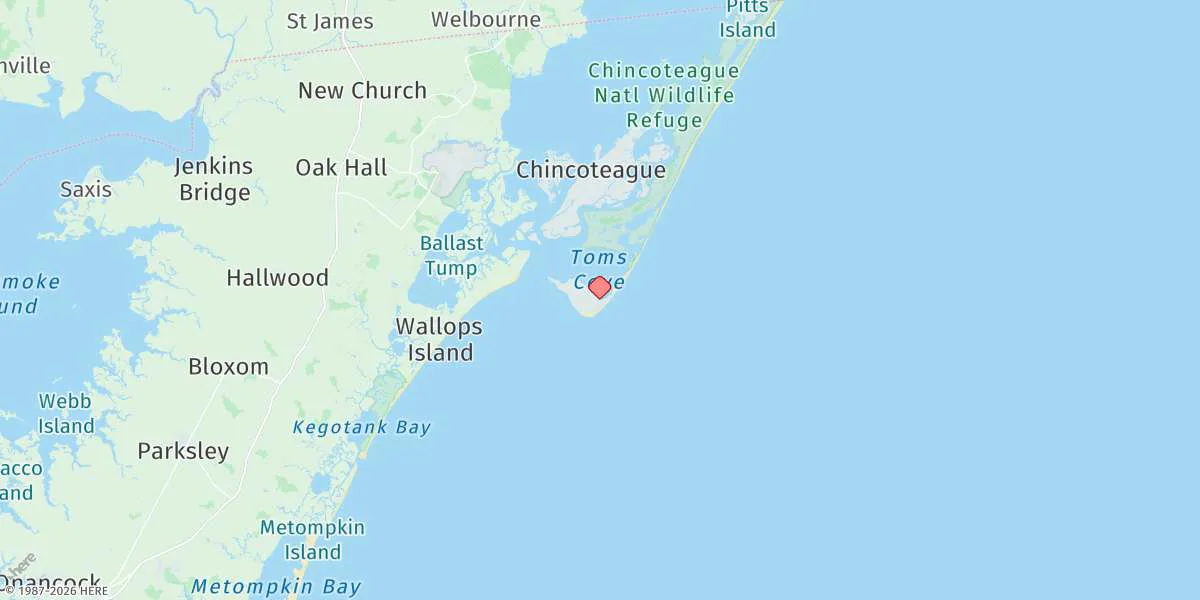 Map preview for Assateague Beach, Toms Cove
