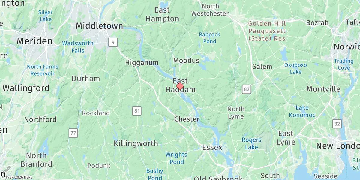 Map preview for Tylerville