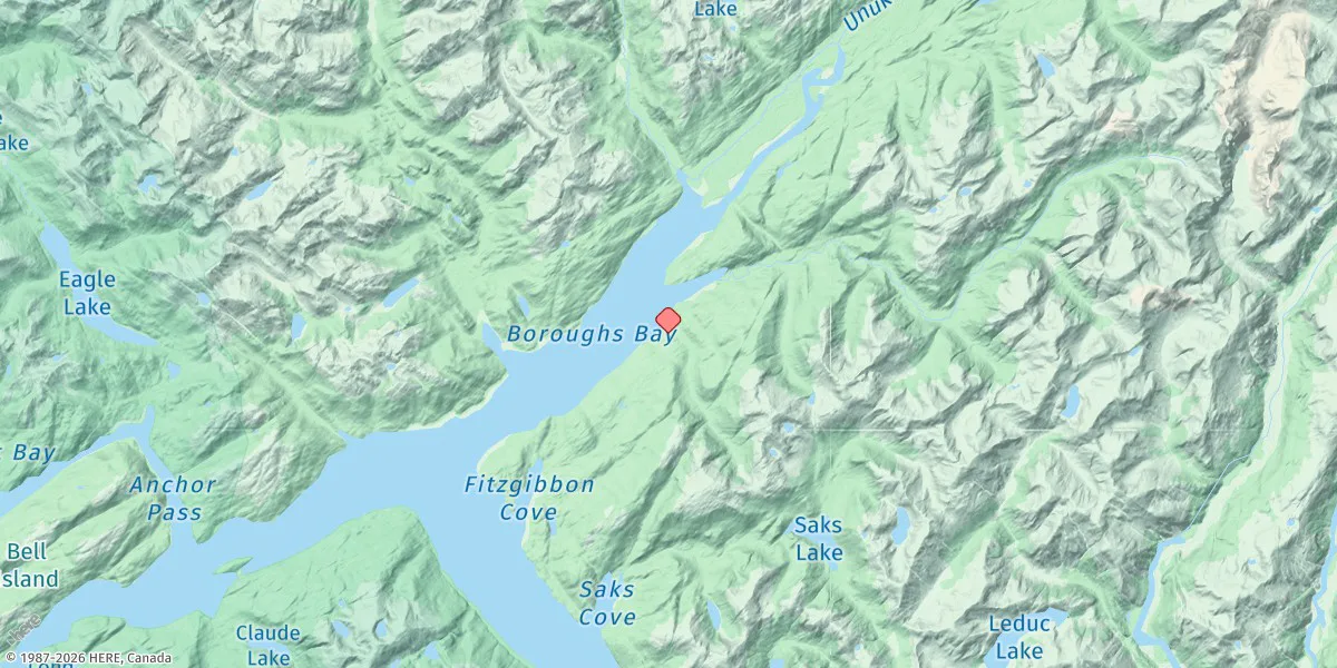 Map preview for Burroughs Bay, Alaska