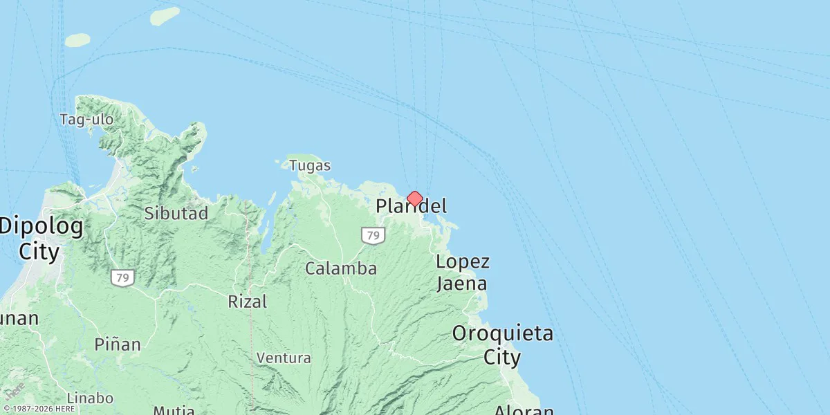 Map preview for Plaridel